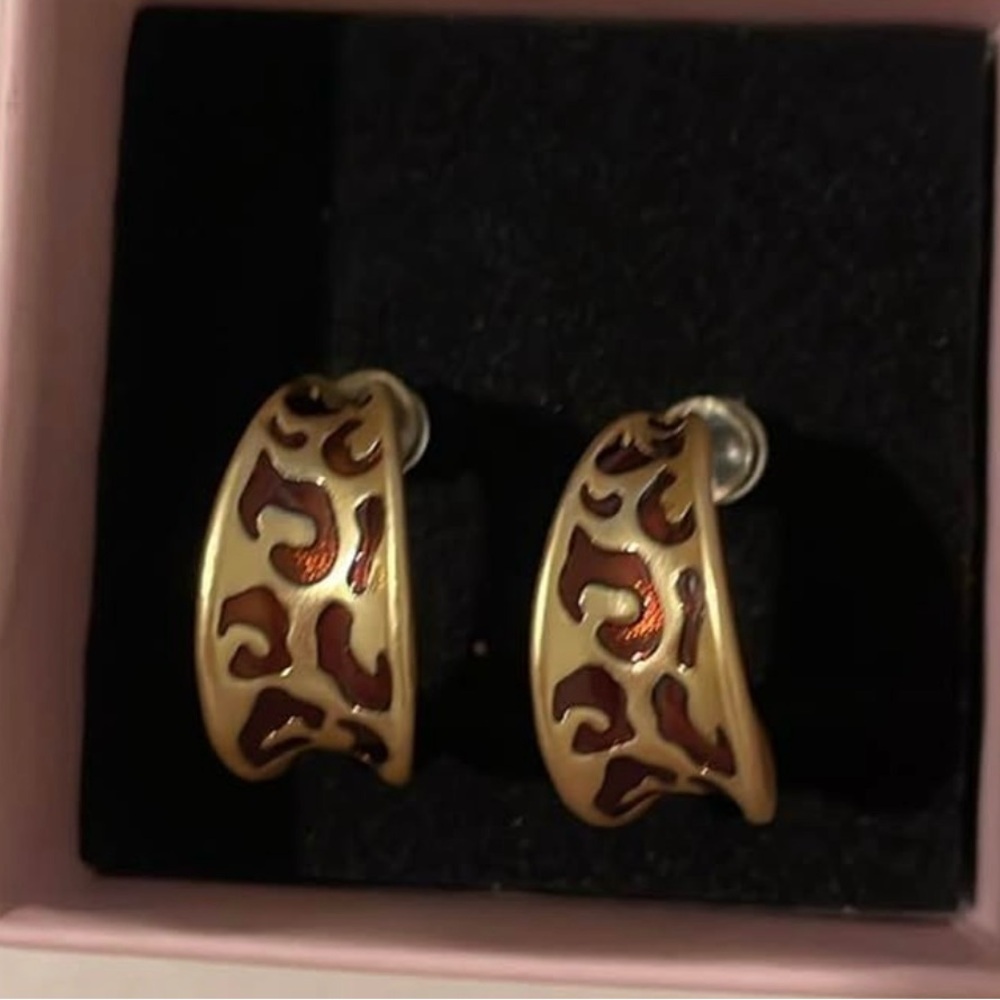 Elegant Gold and Brown Hoop Earrings